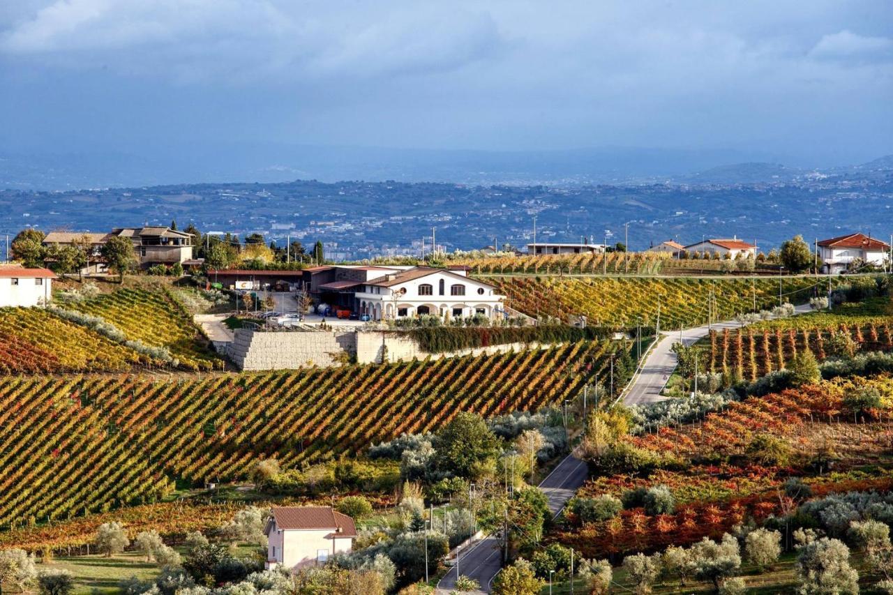 Cantine Iannella Torrecuso Luaran gambar